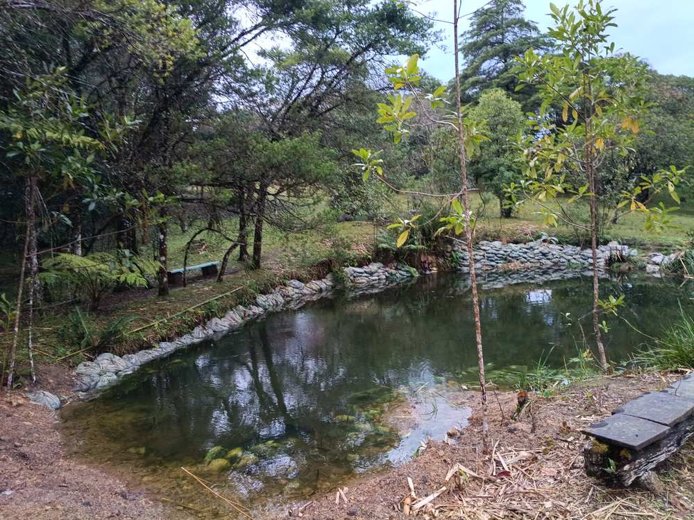 lago natural